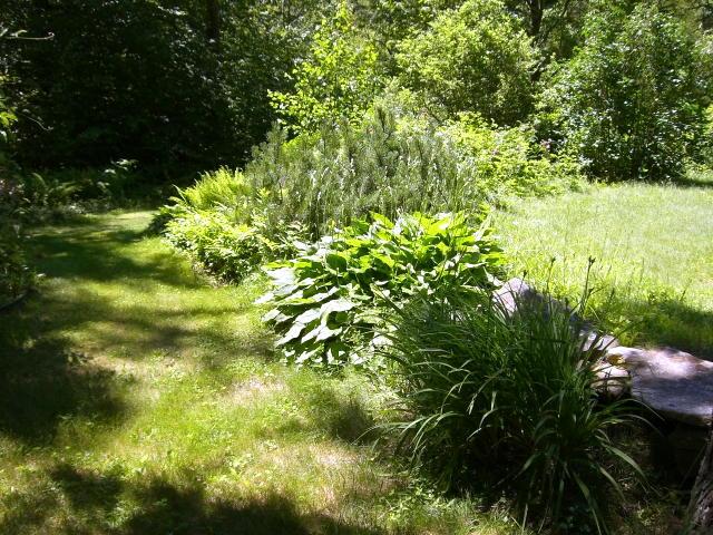 809 Leonhardt Road Becket, MA 01223 - Photo 5 of 8 a view of a yard
