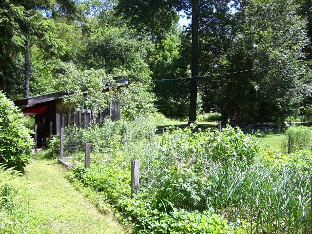 809 Leonhardt Road Becket, MA 01223 - Photo 7 of 8 a garden view