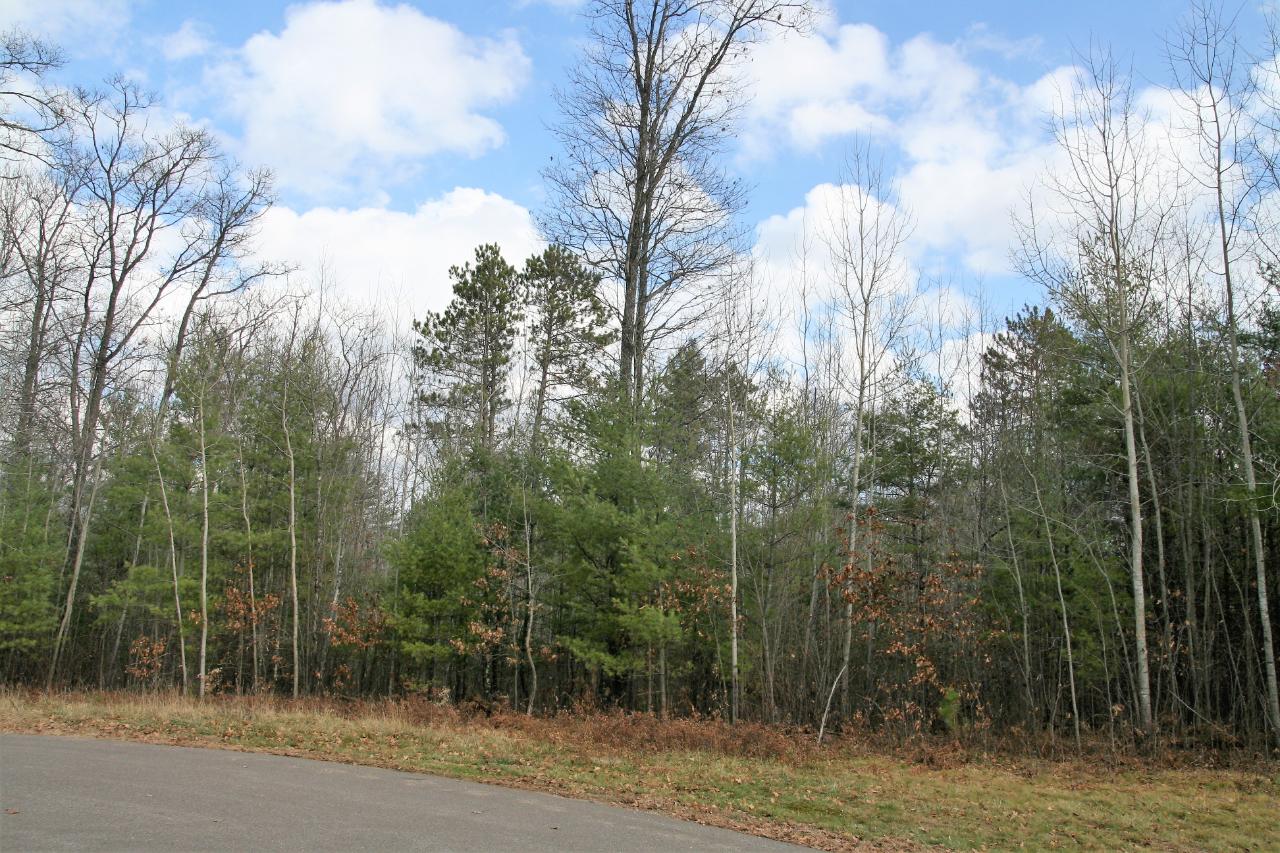 Lot 2 Packers Road Lake Tomahawk, WI 54539 - Photo 9 of 9 Gallery Image 9