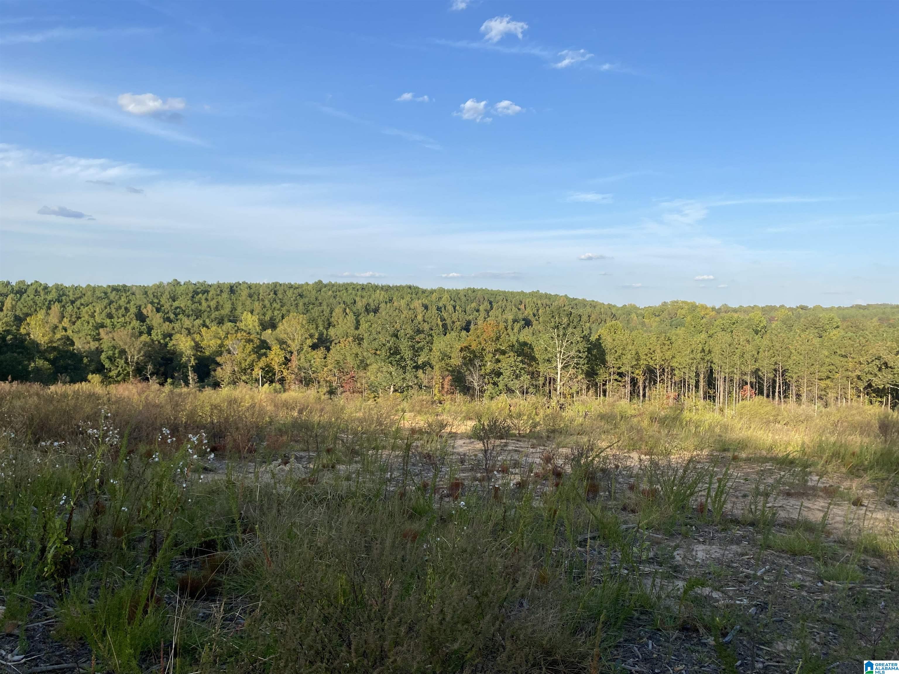 0 Frost Road, Unit 100 / ACRES Springville, AL 35146 - Photo 26 of 60