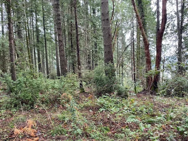 $110,000 | 0 Elk Street, Shelton, WA 98584