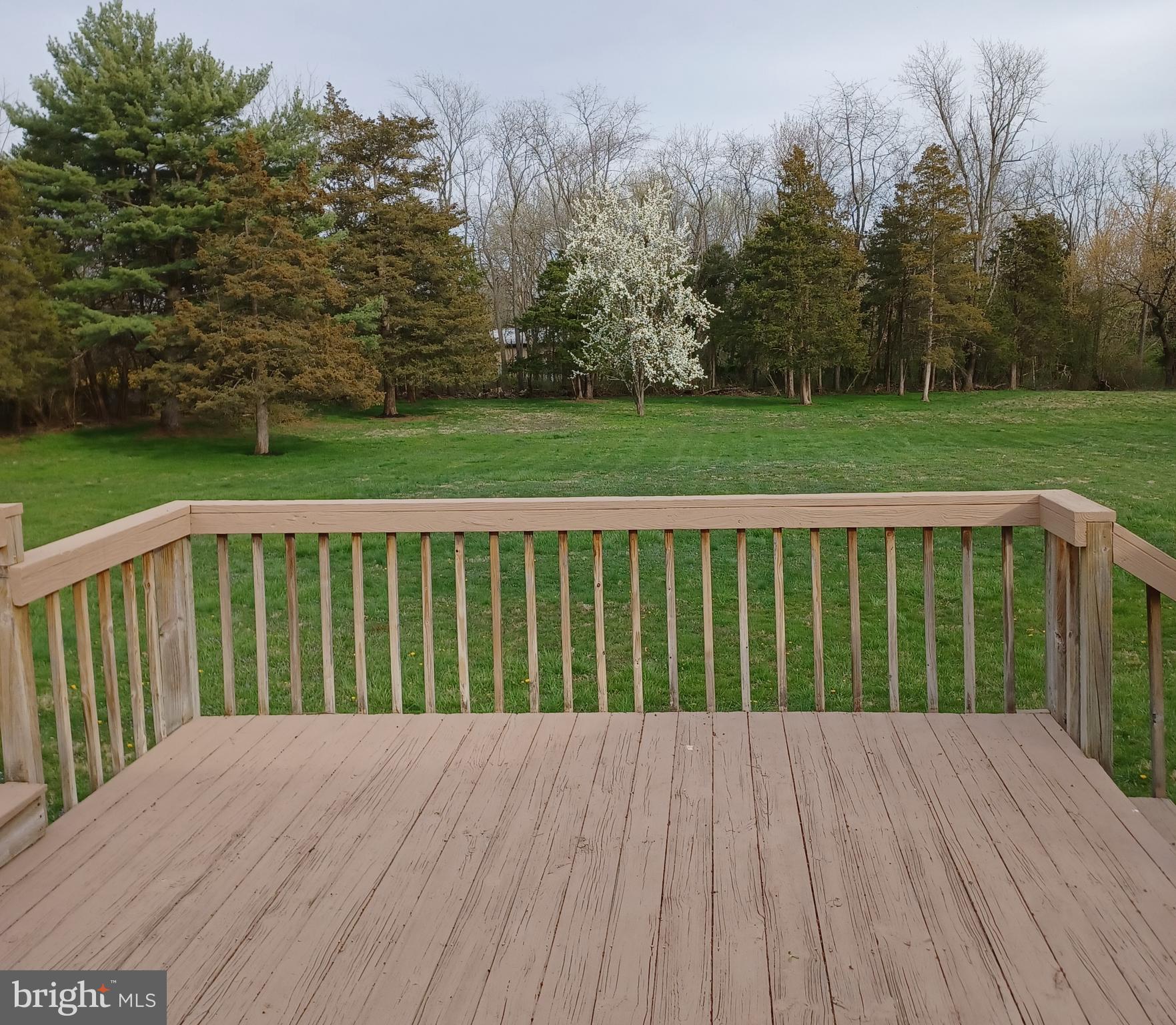 1955 Springer Road Harleysville, PA 19438 - Photo 4 of 46 Over 1.50 Acres - Surrounded by Trees
