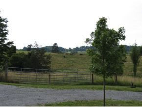 610 Tweed Springs Road Greeneville, TN 37743 - Photo 20 of 23 Fenced Pasture