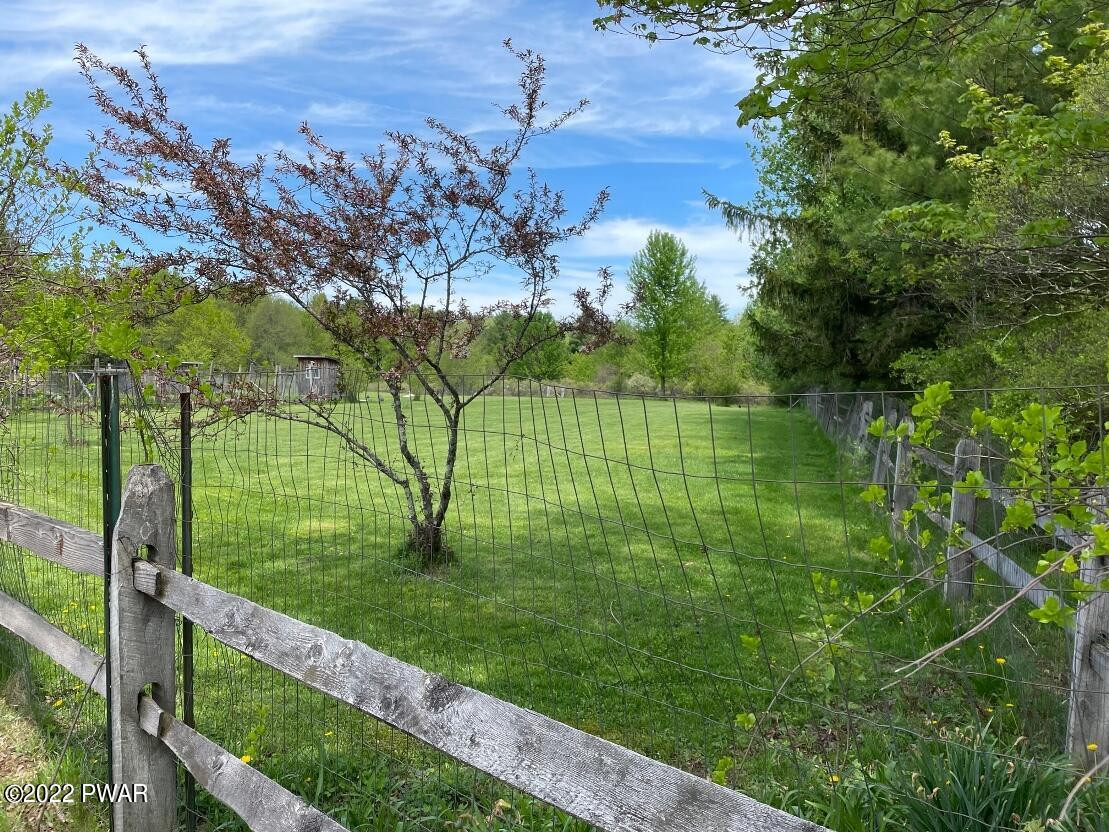 229 Atco Road Beach Lake, PA 18405 - Photo 64 of 83 level lawn