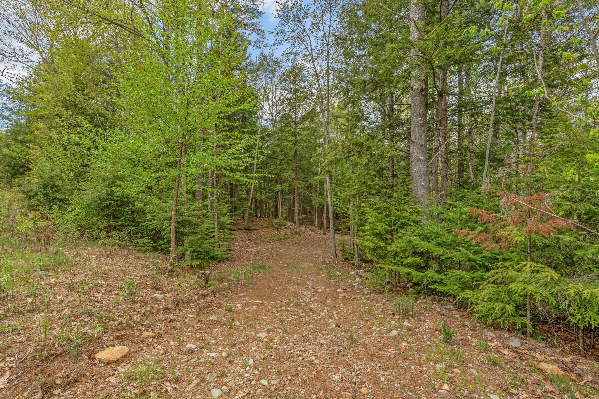 14 Beaver Ridge Road Palermo, ME 04354 - Photo 9 of 26 3-web-or-mls-14-beaver-ridge-rd