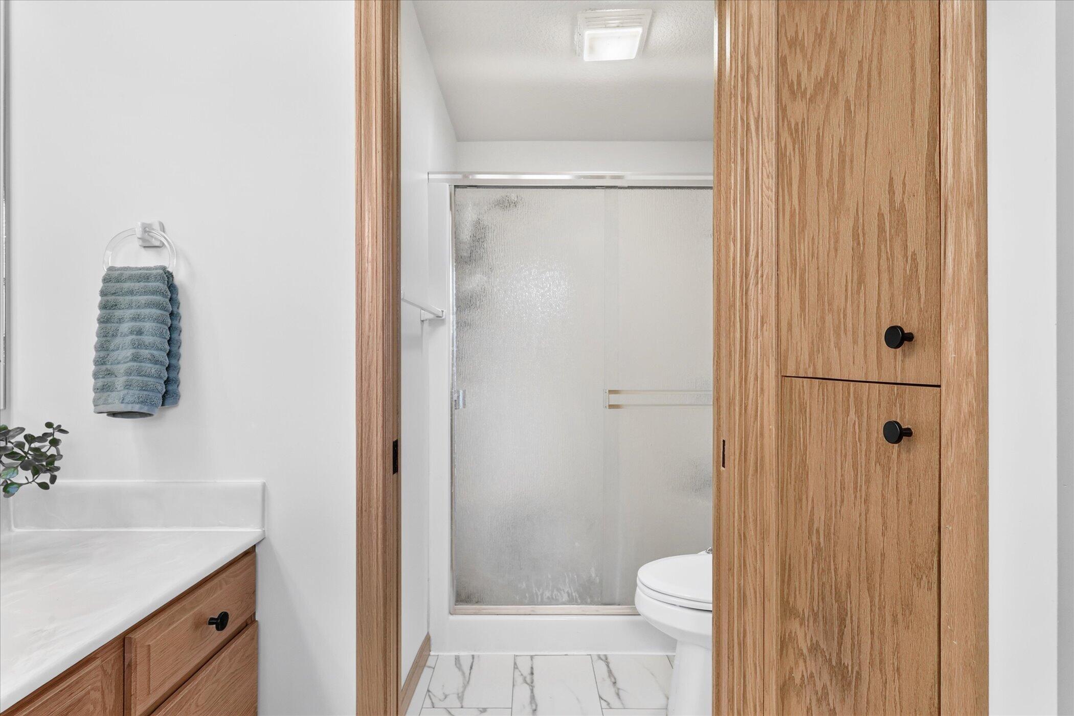 117 Charlotte Street Edmore, MI 48829 - Photo 27 of 44 Primary Bathroom