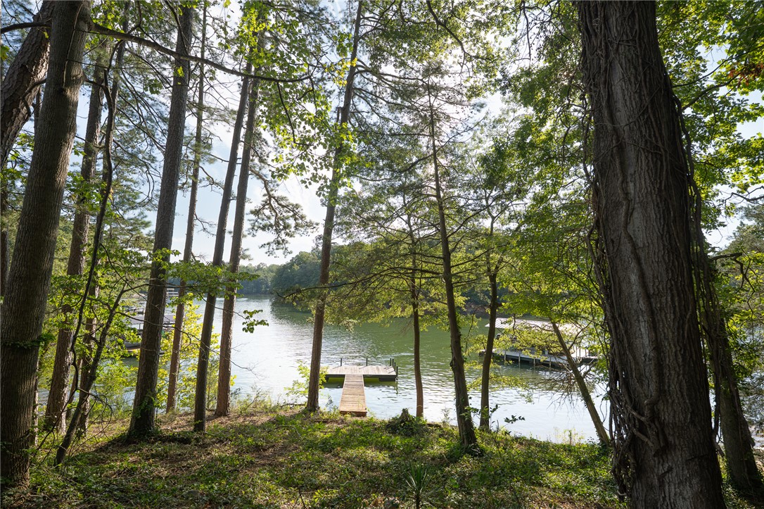 360 Cann Road Anderson, SC 29625 - Photo 4 of 6