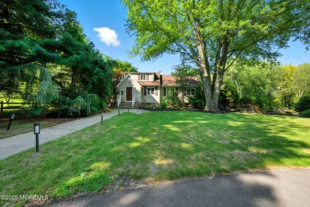 a view of a garden with a tree
