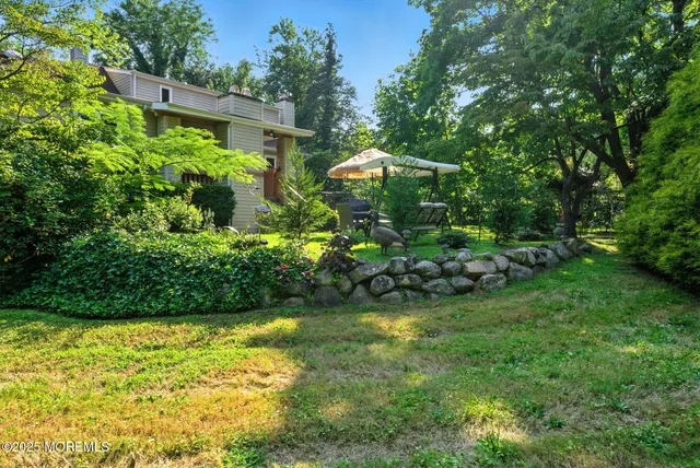 a view of a park with plants and a bench