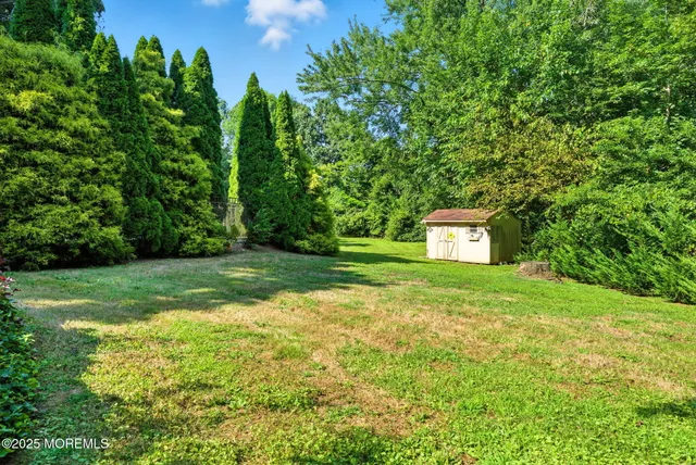 a view of a house with a tree