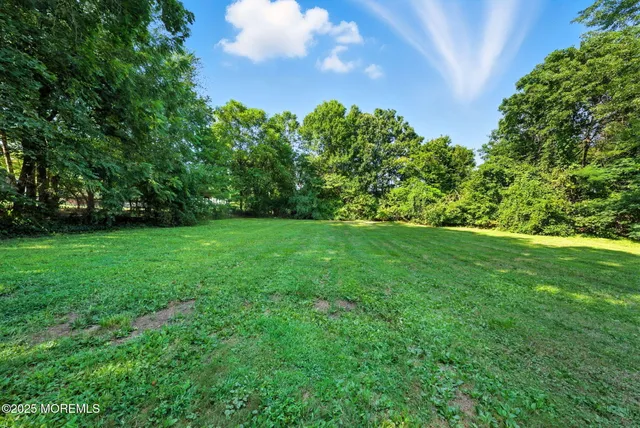 a view of a lake in a forest