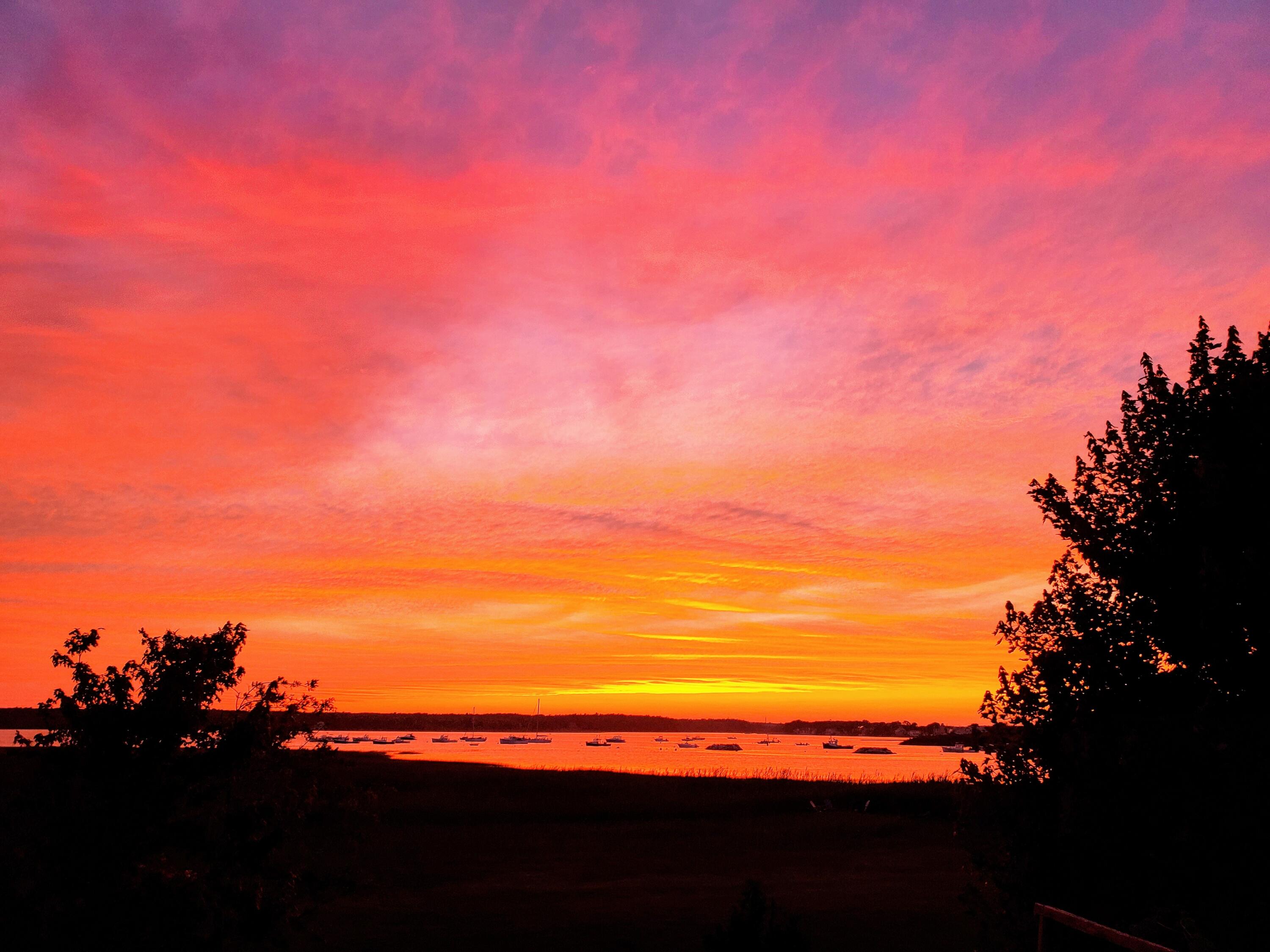 113 Mile Stretch Road Biddeford, ME 04005 - Photo 67 of 67 20210803_201233~2