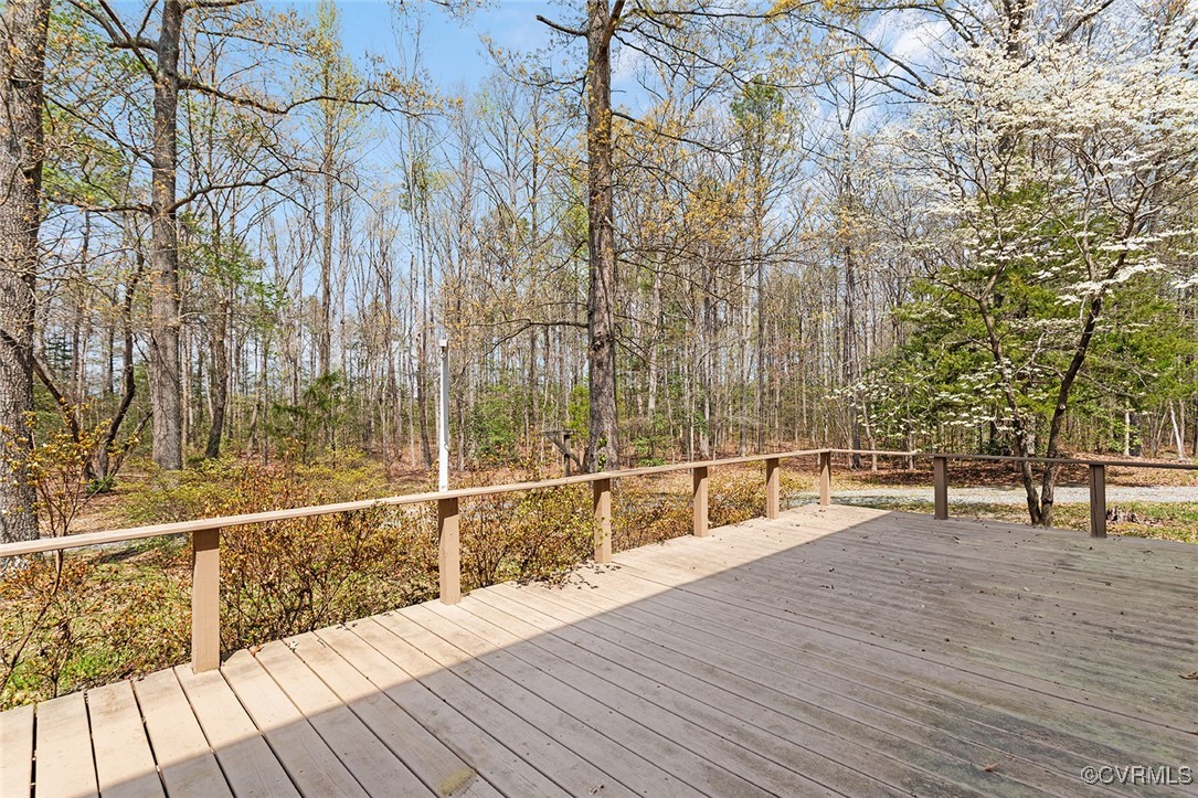 16487 Bullfield Road Doswell, VA 23047 - Photo 29 of 33 Gallery Image 29