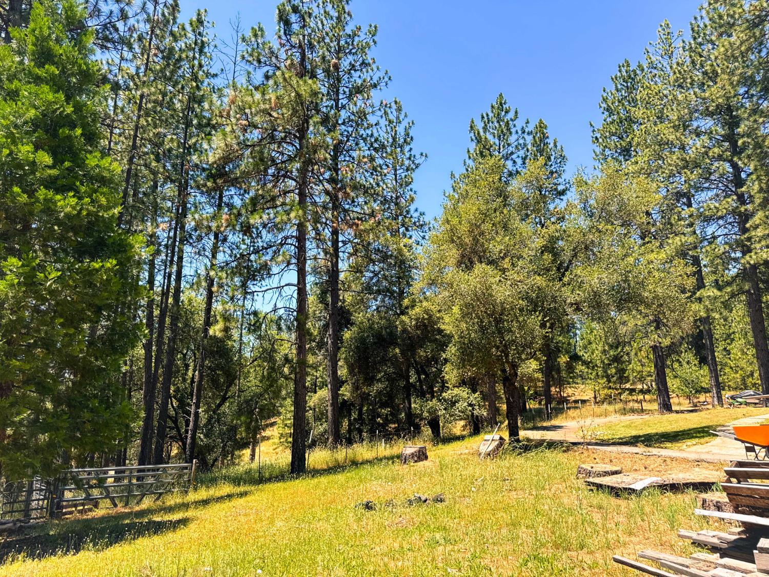 6425 Quartz Mine Road Mountain Ranch, CA 95246 - Photo 53 of 70