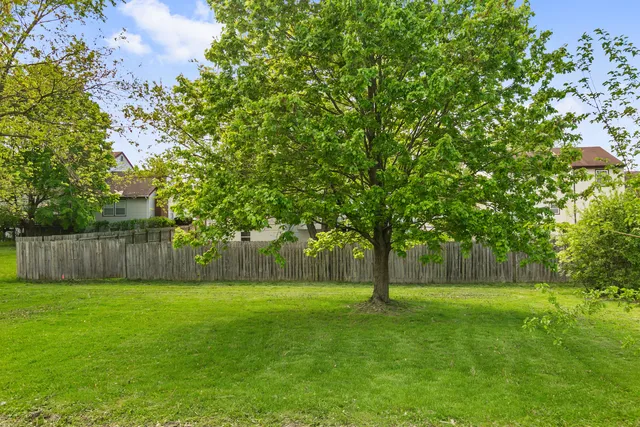 a view of a yard with a tree