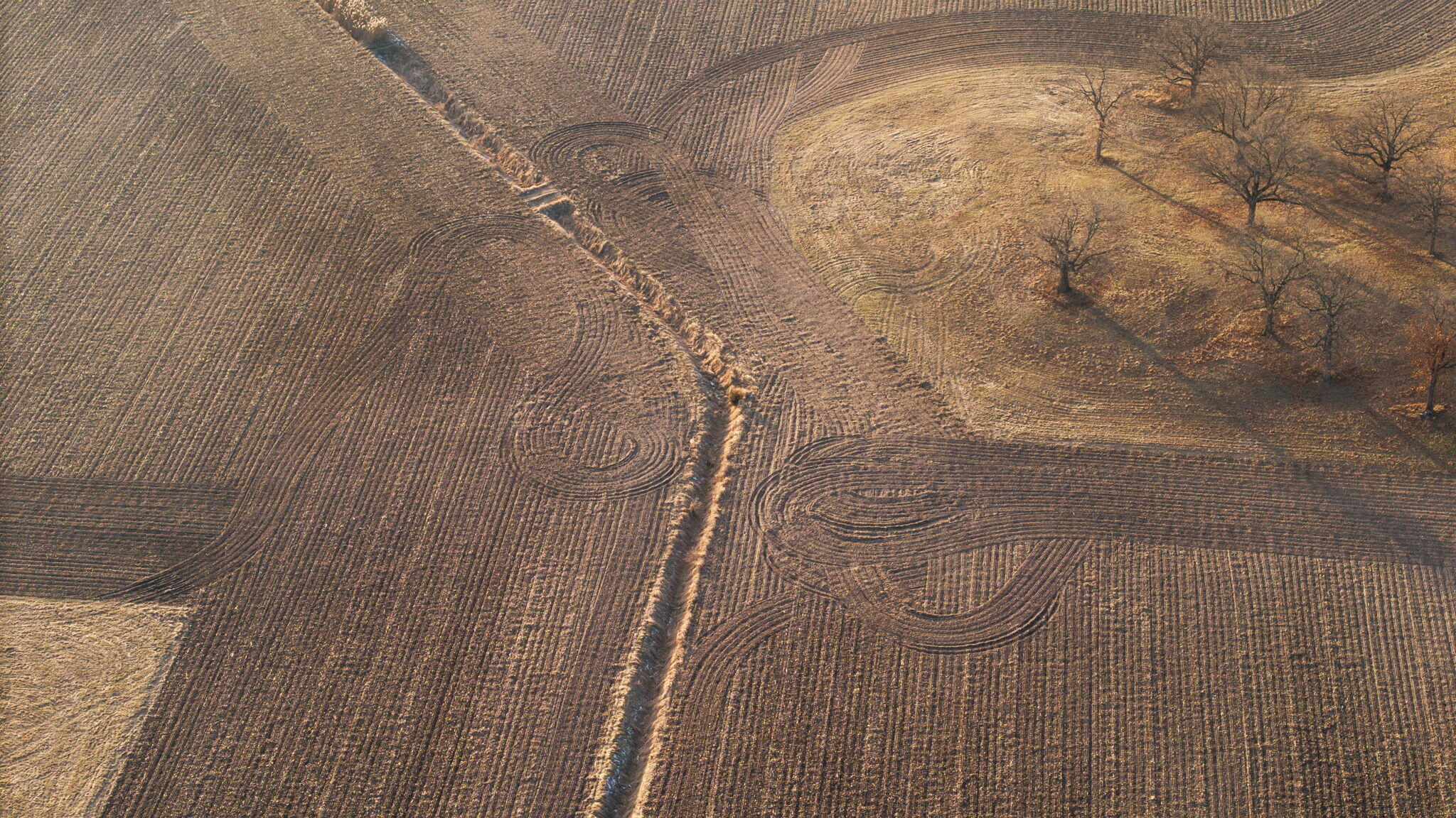 655 Orchid Street Southeast De Motte, IN 46310 - Photo 11 of 19 a bathroom with a shower