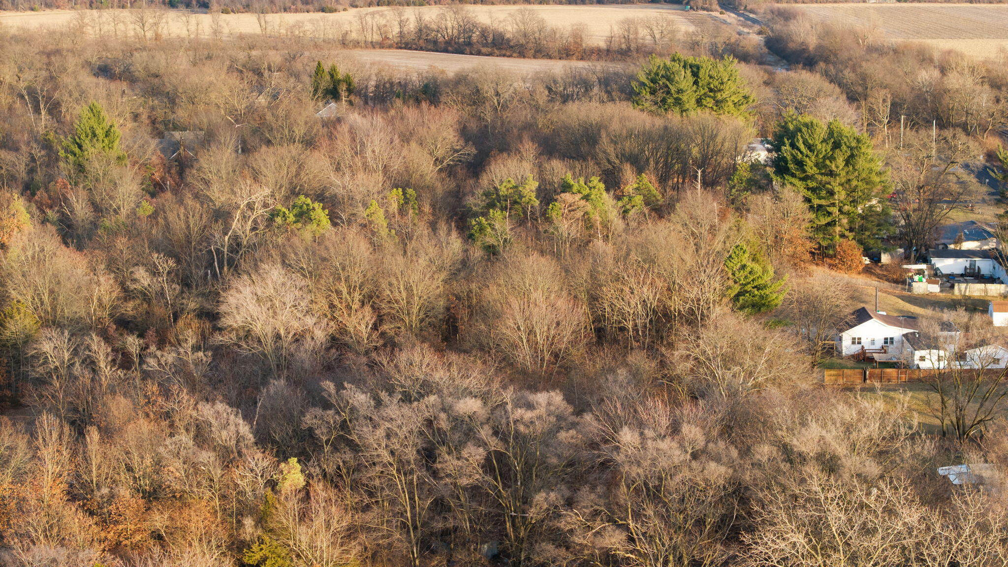 655 Orchid Street Southeast De Motte, IN 46310 - Photo 14 of 19