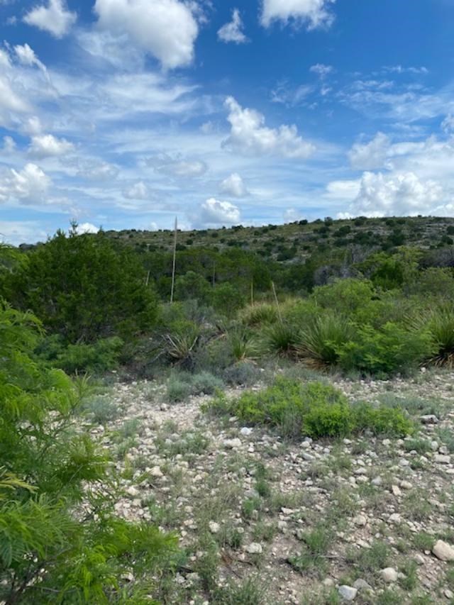 13955 Ranch Road 2523 Del Rio, TX 78840 - Photo 11 of 77