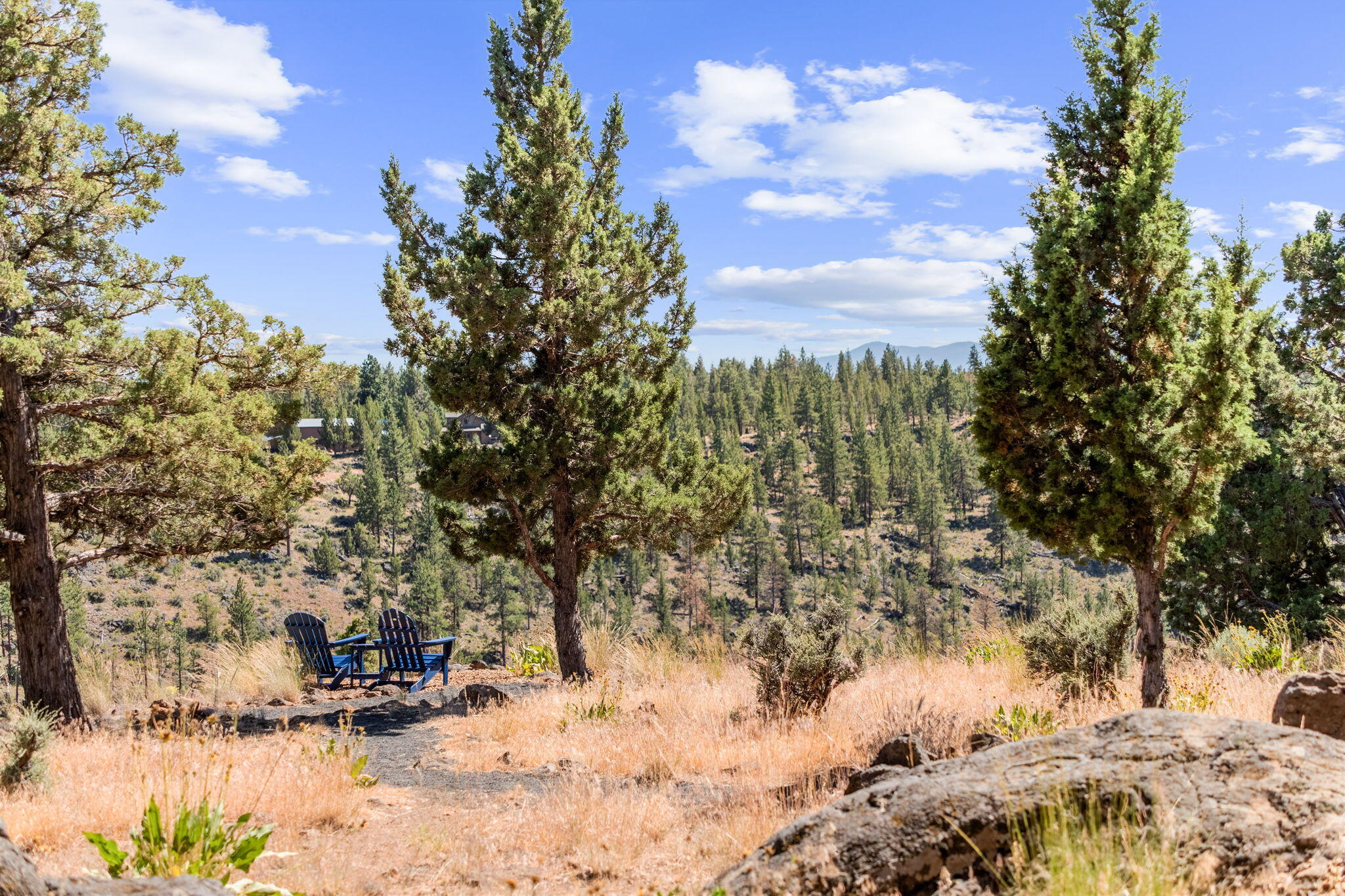 17241 Mountain View Road Sisters, OR 97759 - Photo 53 of 69 53-web-or-mls-53