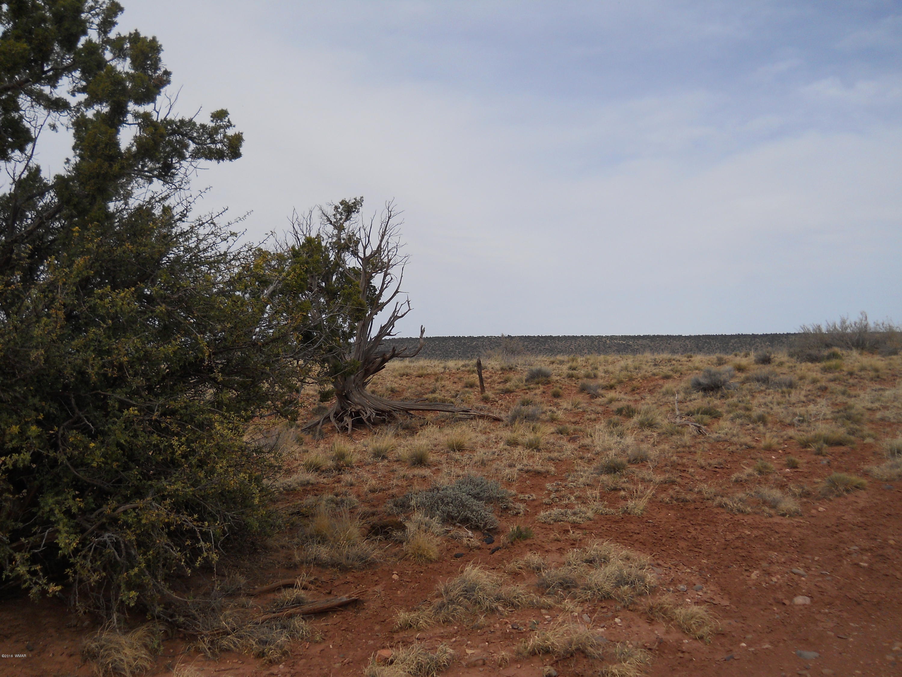 9311 Aztec Road Snowflake, AZ 85937 - Photo 14 of 14