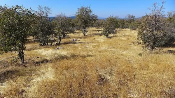 $50,000 | 0 Crestline Round Mountain, Round Mountain, CA 96084