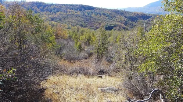 $50,000 | 0 Crestline Round Mountain, Round Mountain, CA 96084
