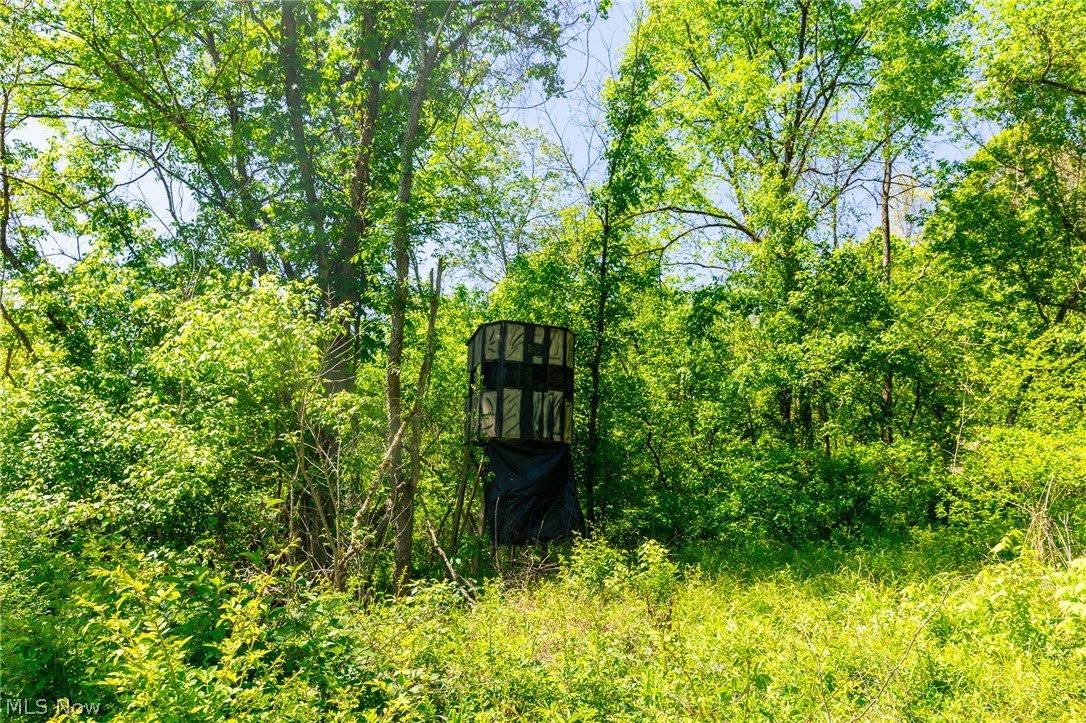 37500 Goose Run Road Dexter City, OH 45727 - Photo 31 of 50