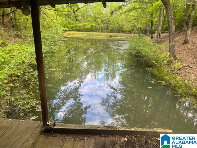 7307 County Road 31 Lineville, AL 36266 - Photo 14 of 30