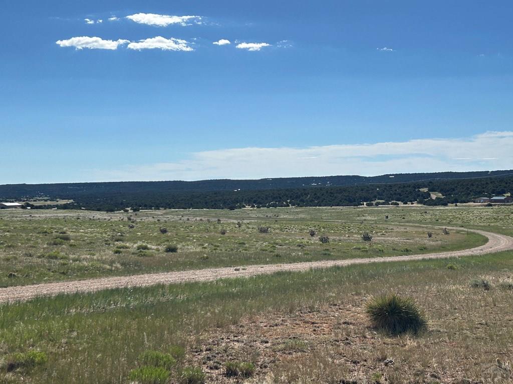 Lot 46 River Ridge Trail La Veta, CO 81055 - Photo 18 of 18