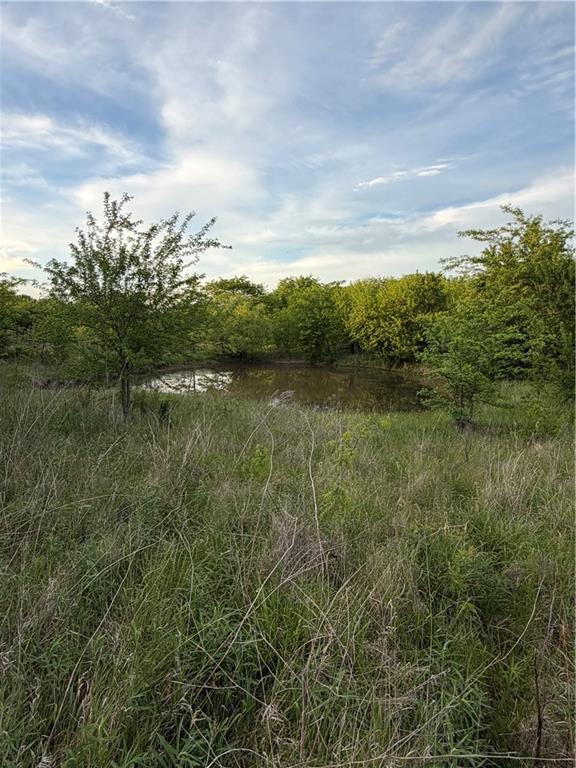 Northeast Irwin Road Weatherby, MO 64497 - Photo 11 of 39