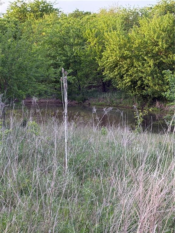 Northeast Irwin Road Weatherby, MO 64497 - Photo 12 of 39