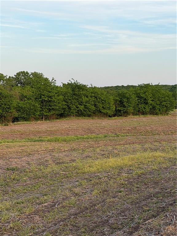 Northeast Irwin Road Weatherby, MO 64497 - Photo 19 of 39