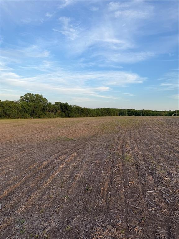 Northeast Irwin Road Weatherby, MO 64497 - Photo 2 of 39