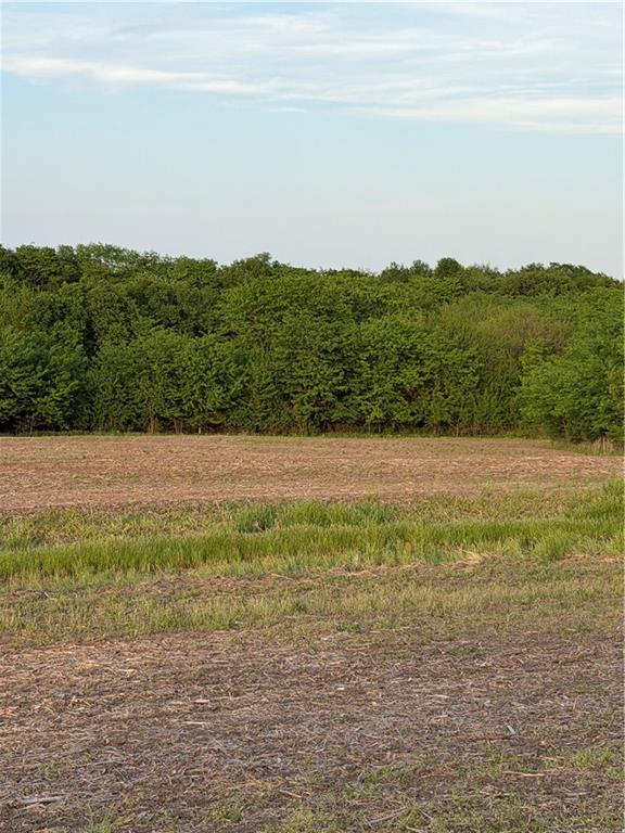 Northeast Irwin Road Weatherby, MO 64497 - Photo 21 of 39