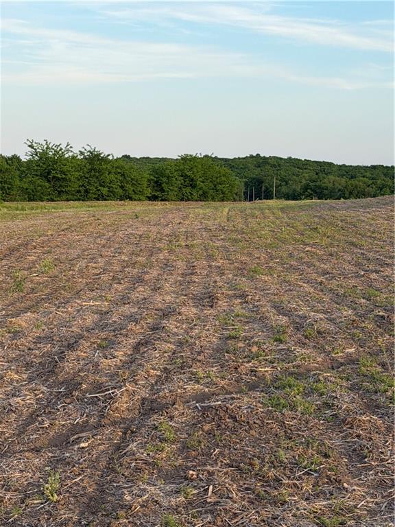 Northeast Irwin Road Weatherby, MO 64497 - Photo 24 of 39