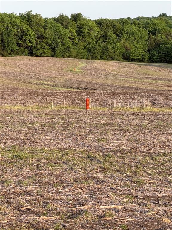 Northeast Irwin Road Weatherby, MO 64497 - Photo 27 of 39