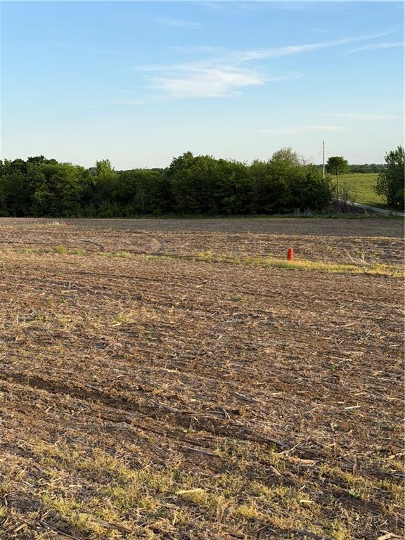 Northeast Irwin Road Weatherby, MO 64497 - Photo 30 of 39