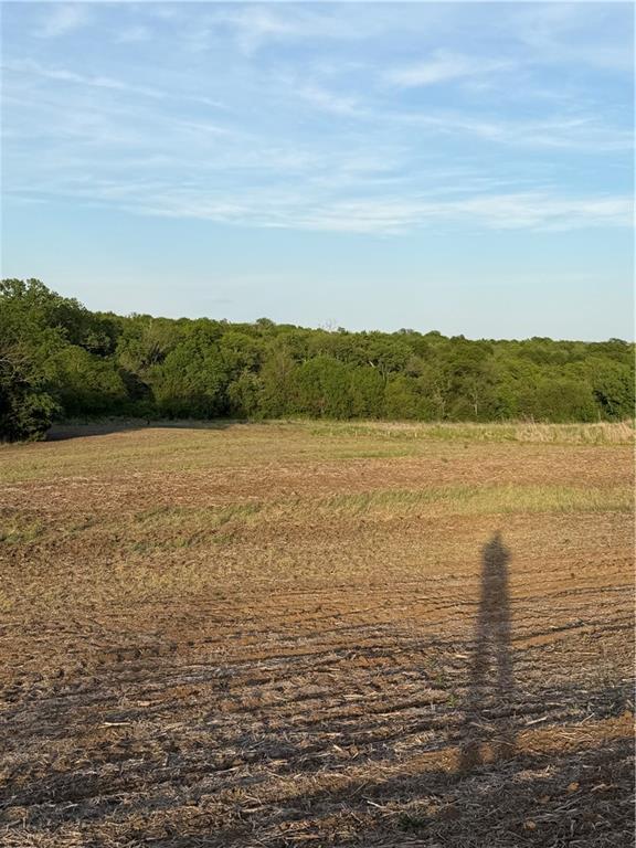 Northeast Irwin Road Weatherby, MO 64497 - Photo 33 of 39