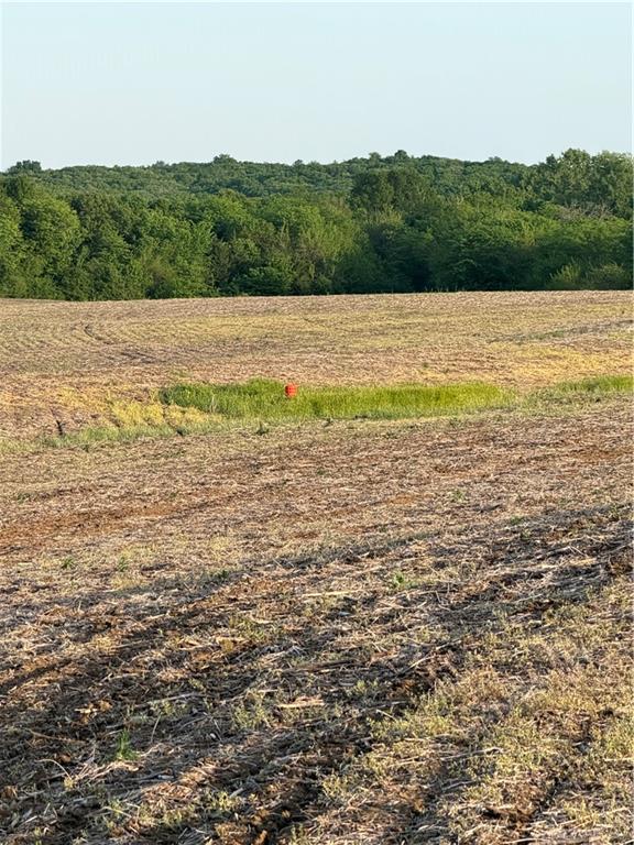 Northeast Irwin Road Weatherby, MO 64497 - Photo 34 of 39