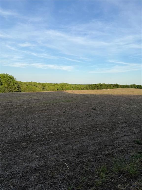 Northeast Irwin Road Weatherby, MO 64497 - Photo 36 of 39