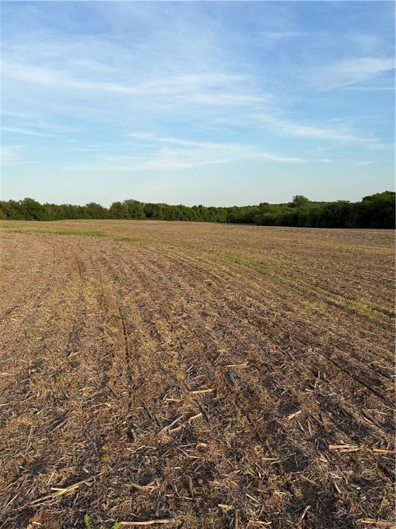 Northeast Irwin Road Weatherby, MO 64497 - Photo 5 of 39