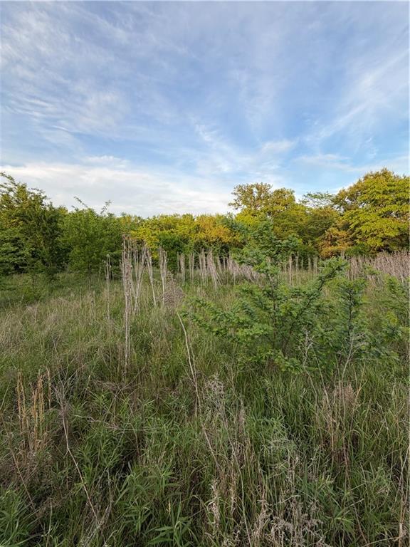 Northeast Irwin Road Weatherby, MO 64497 - Photo 10 of 39