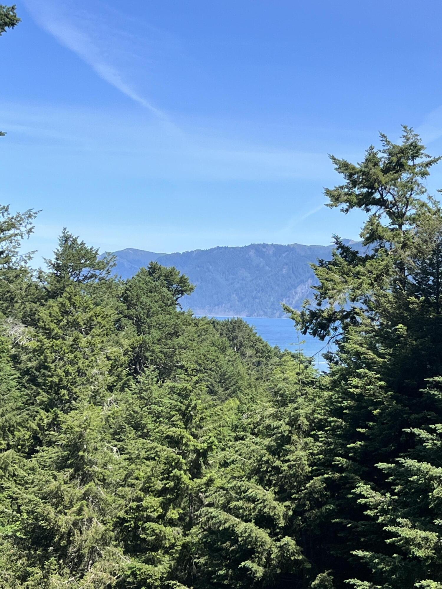 524 Spring Road Shelter Cove, CA 95589 - Photo 60 of 60 View From Living Room Deck