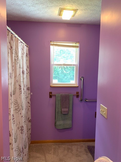 7100 Camp Road Homerville, OH 44235 - Photo 15 of 29 Gallery Image 15