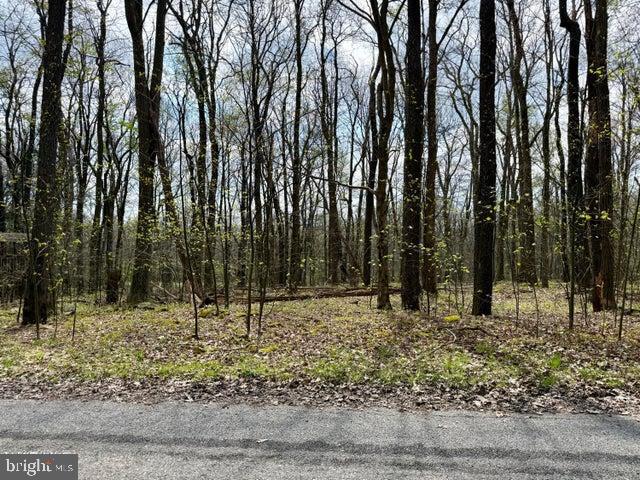 Lot 13 Timerman Road Claysburg, PA 16625 - Photo 11 of 11