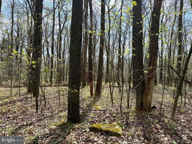 Lot 13 Timerman Road Claysburg, PA 16625 - Photo 2 of 11