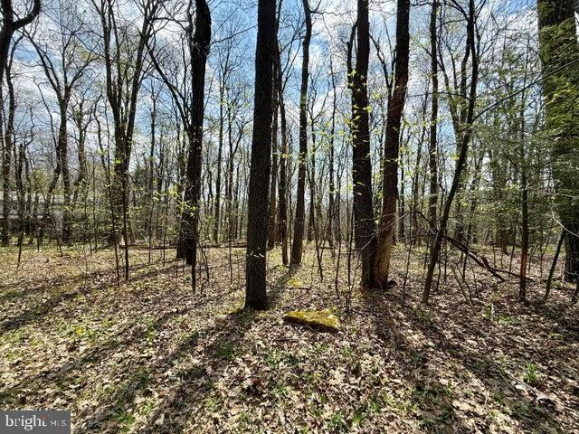 Lot 13 Timerman Road Claysburg, PA 16625 - Photo 3 of 11