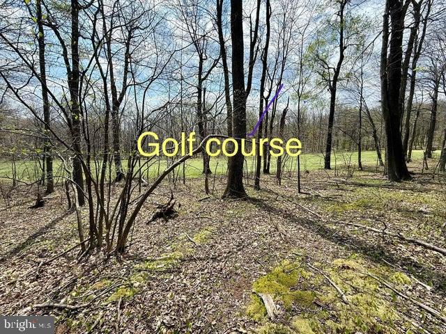 Lot 13 Timerman Road Claysburg, PA 16625 - Photo 4 of 11
