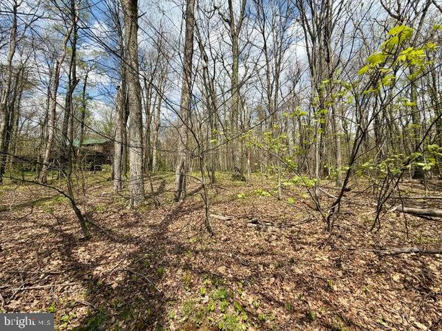 Lot 13 Timerman Road Claysburg, PA 16625 - Photo 5 of 11