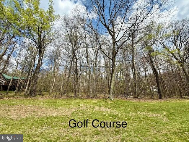 Lot 13 Timerman Road Claysburg, PA 16625 - Photo 6 of 11